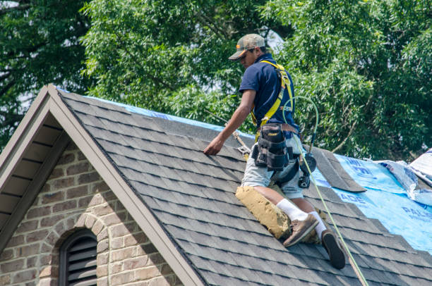 Best Storm Damage Roof Repair  in Goulds, FL